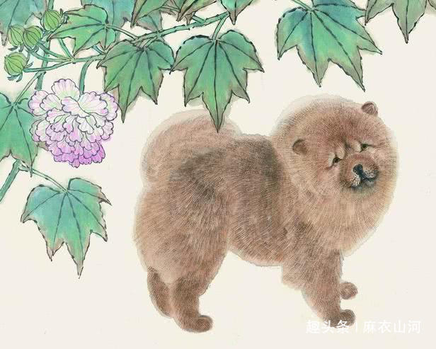 猪朋狗友打一个正确生肖,警惕虚假宣传,实时解答解释落实